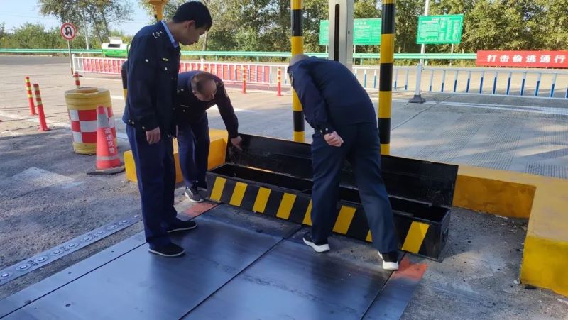 女人与公狍交酡女免费