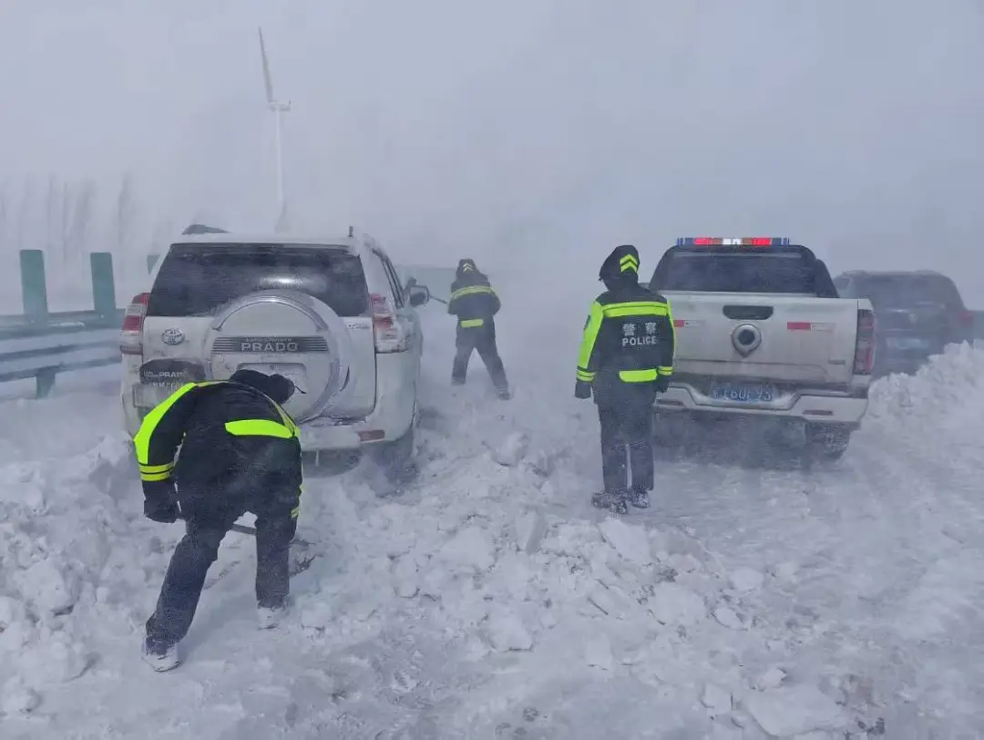 女人与公狍交酡女免费