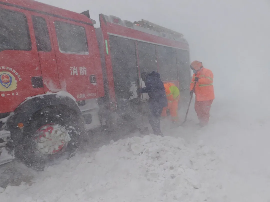 女人与公狍交酡女免费