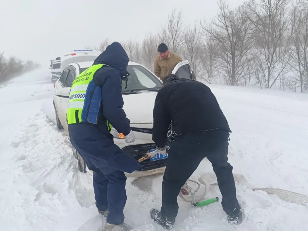 女人与公狍交酡女免费