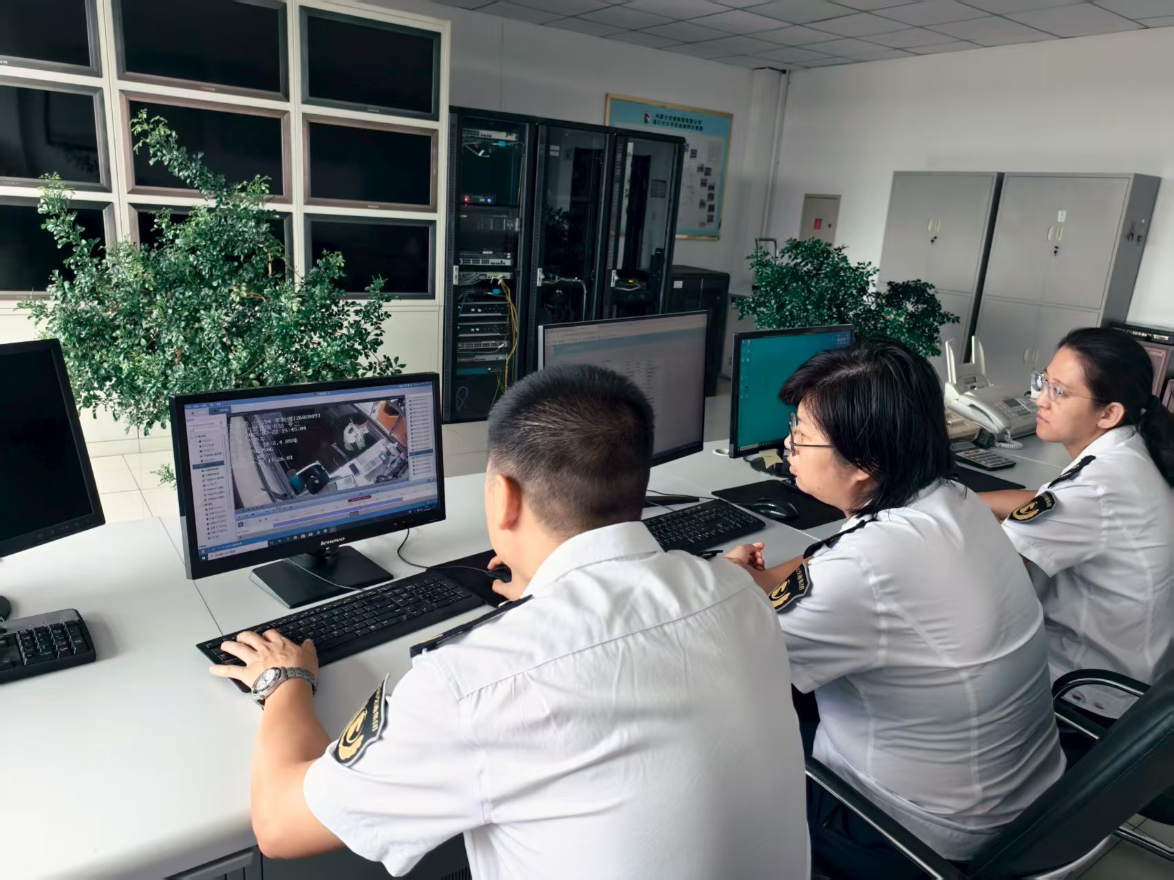 女人与公狍交酡女免费