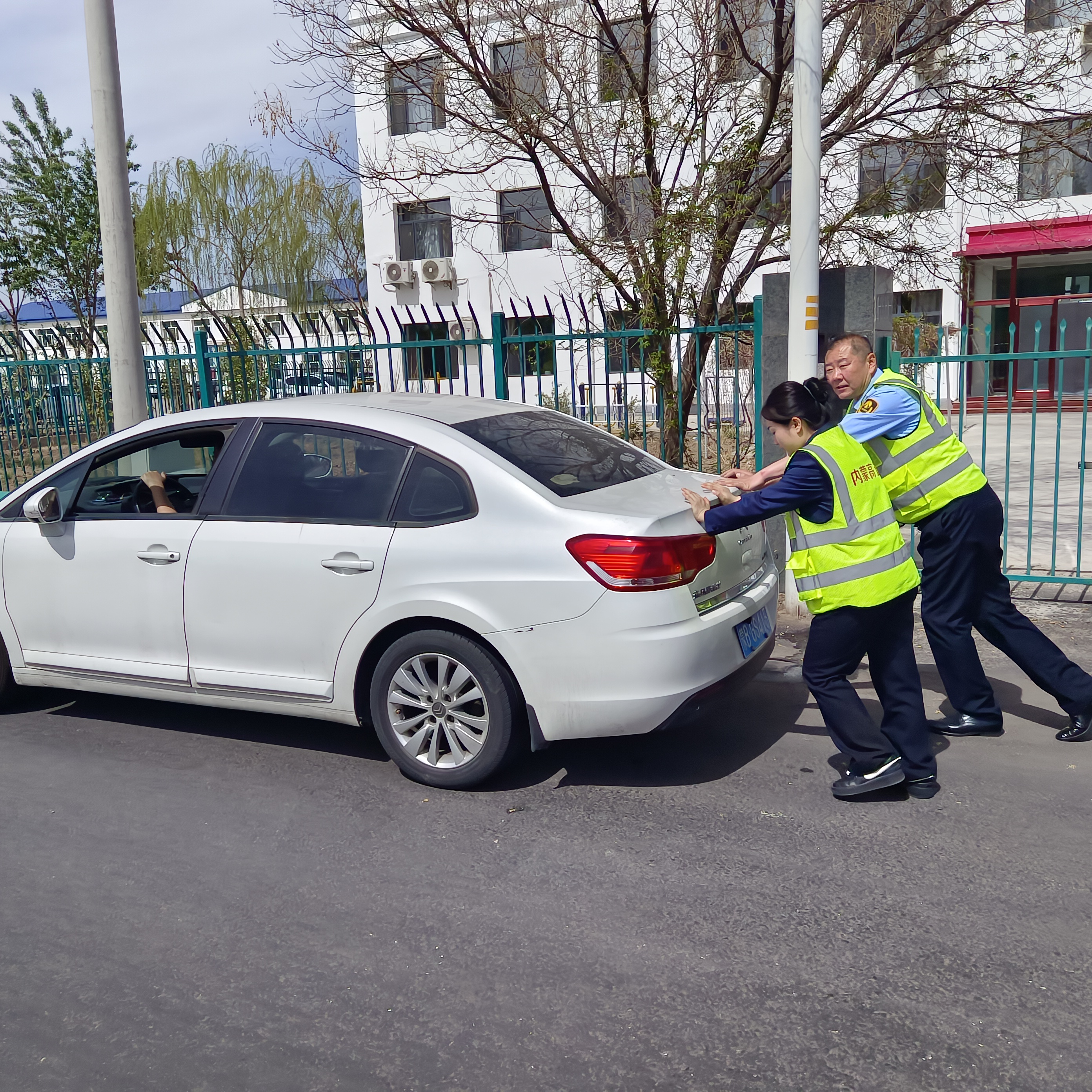 女人与公狍交酡女免费