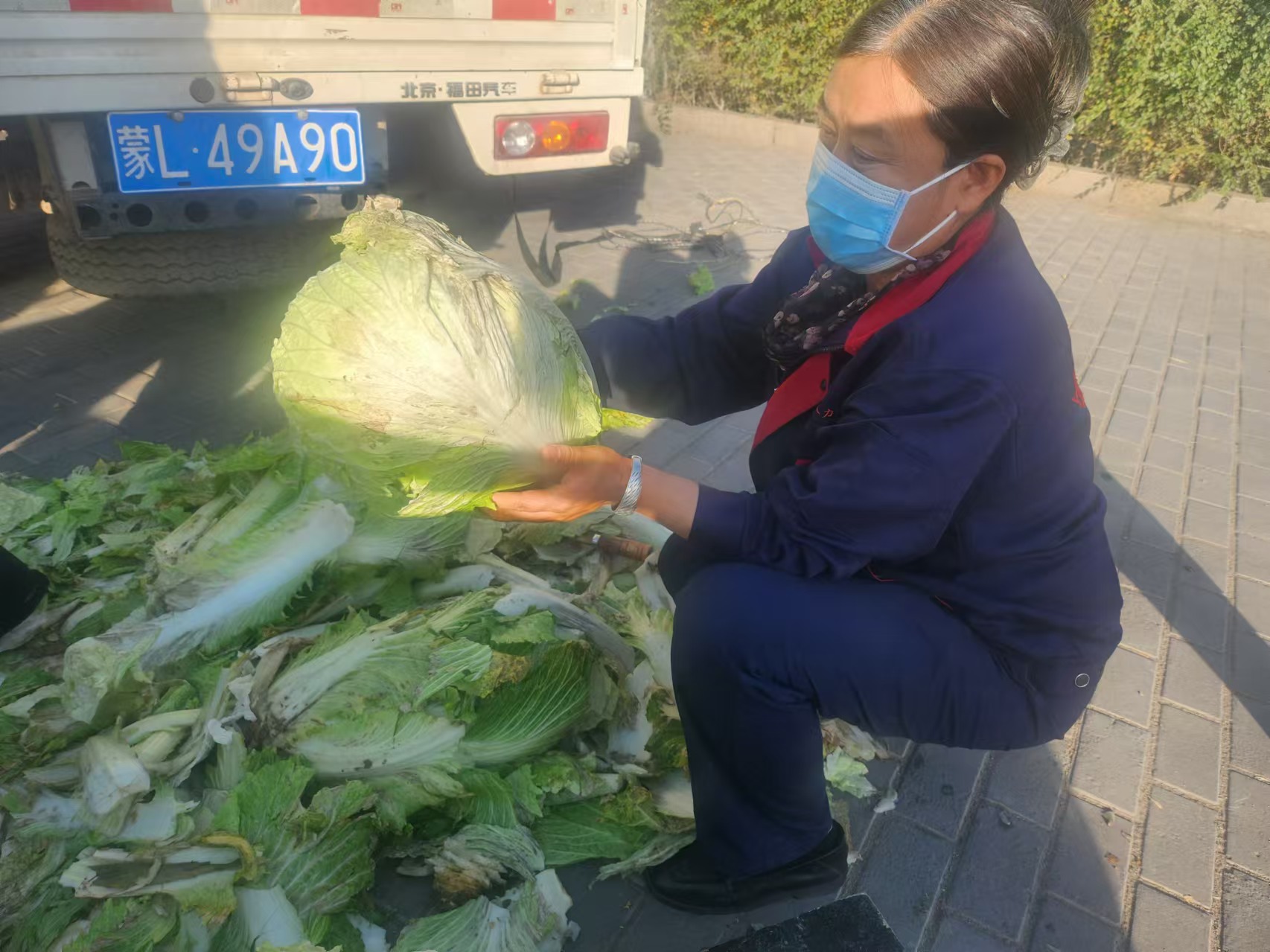 女人与公狍交酡女免费