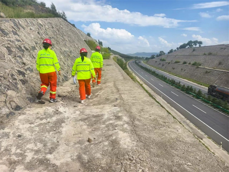 女人与公狍交酡女免费