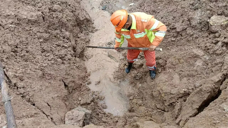 女人与公狍交酡女免费