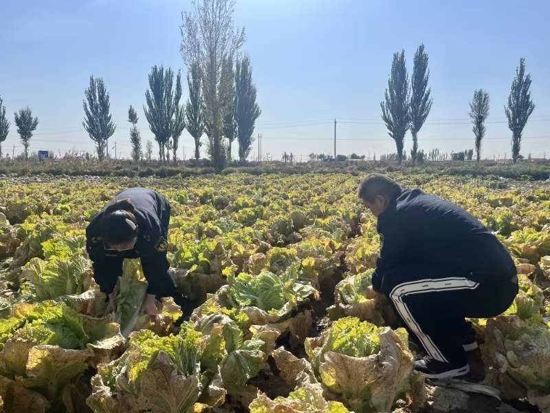 女人与公狍交酡女免费