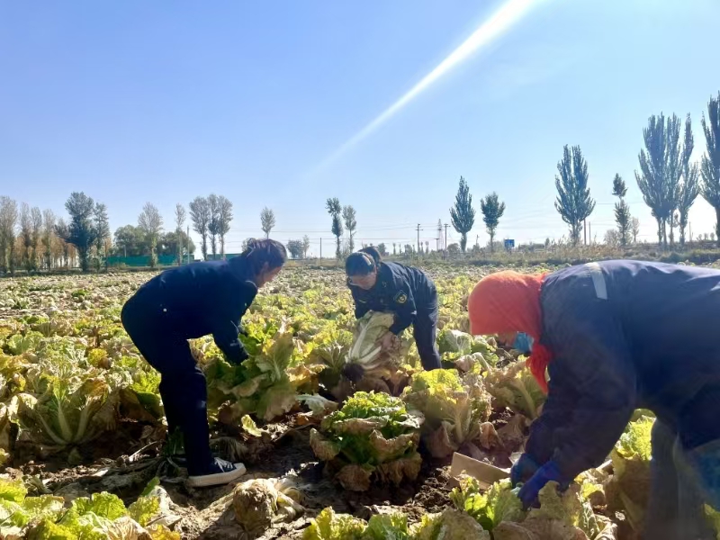女人与公狍交酡女免费