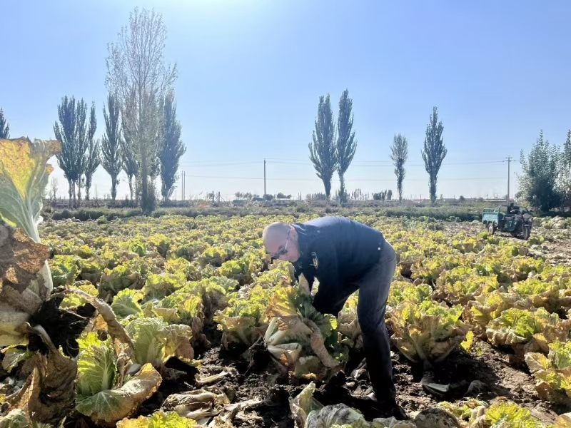 女人与公狍交酡女免费