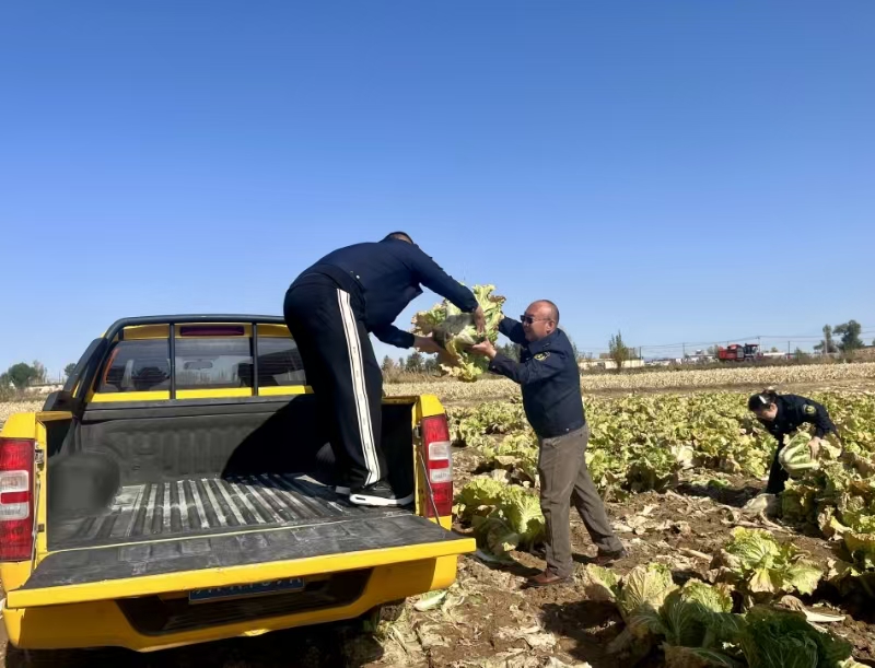 女人与公狍交酡女免费