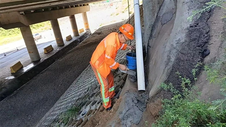 女人与公狍交酡女免费