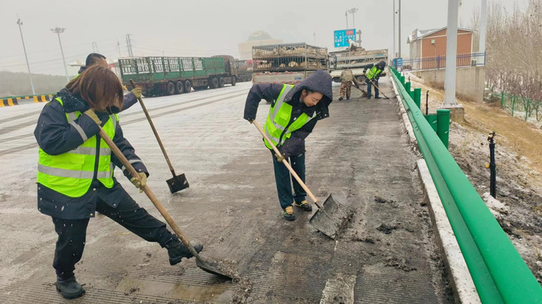 女人与公狍交酡女免费