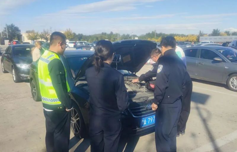 女人与公狍交酡女免费