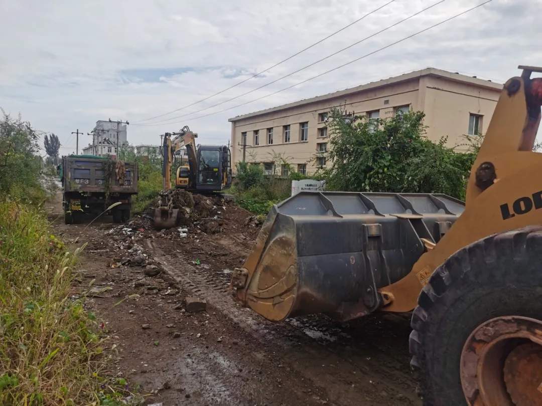 女人与公狍交酡女免费