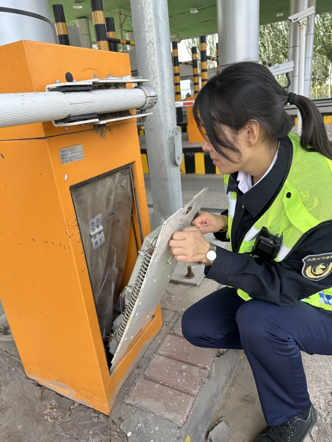 女人与公狍交酡女免费