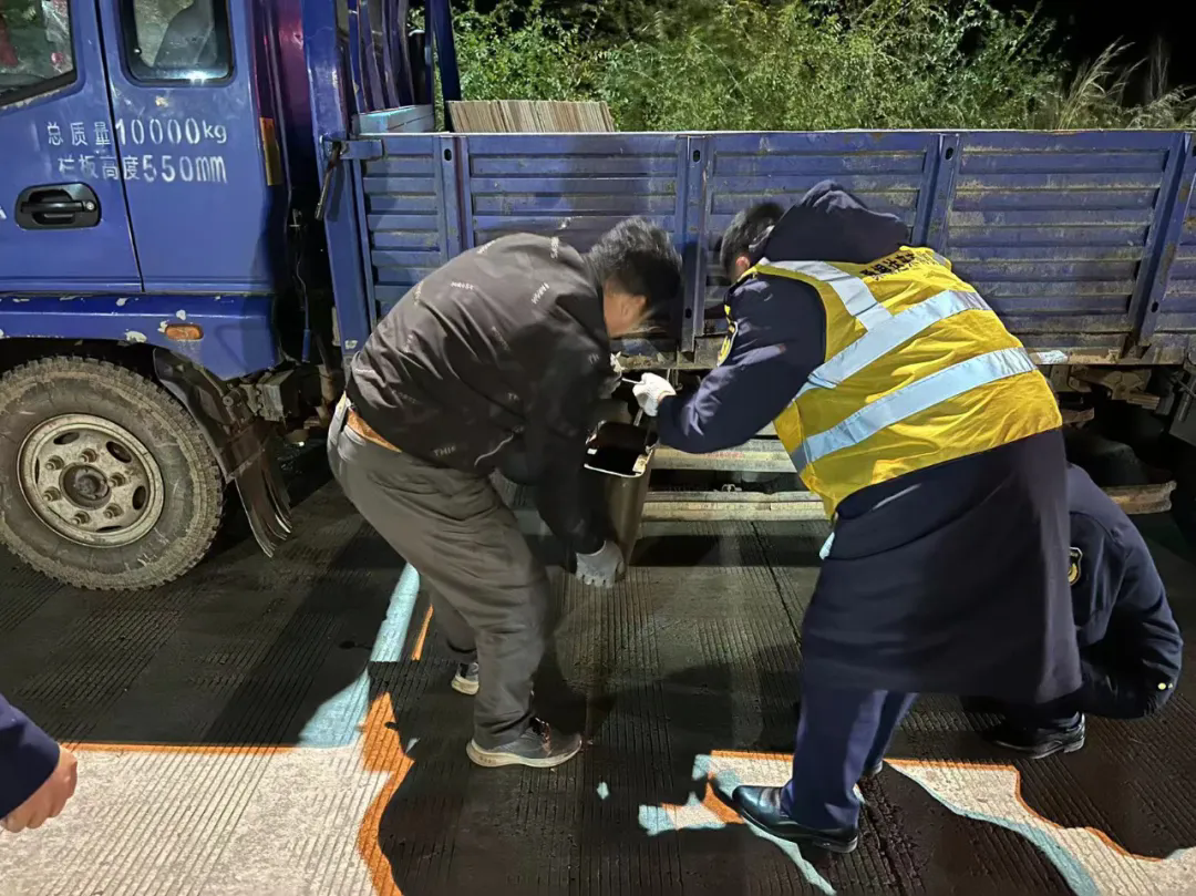 女人与公狍交酡女免费