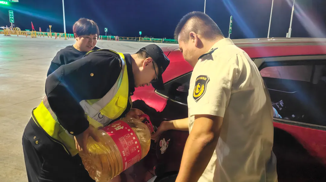 女人与公狍交酡女免费