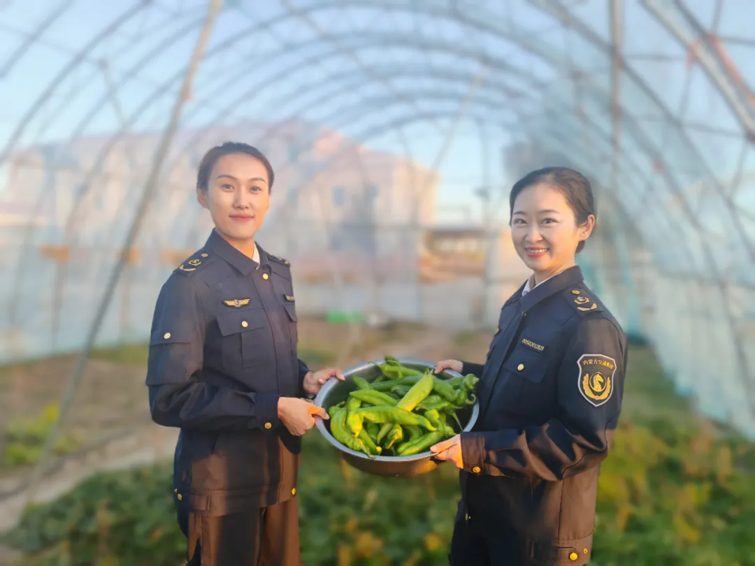 女人与公狍交酡女免费