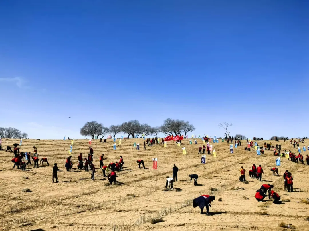 女人与公狍交酡女免费