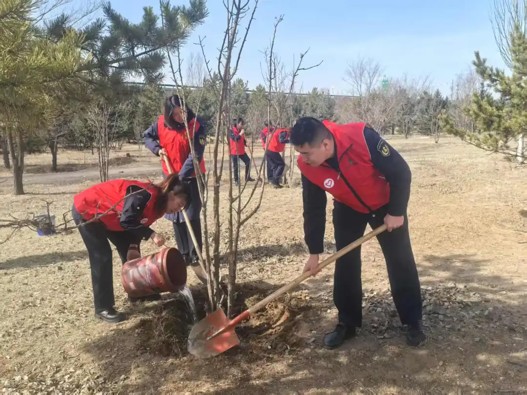 女人与公狍交酡女免费