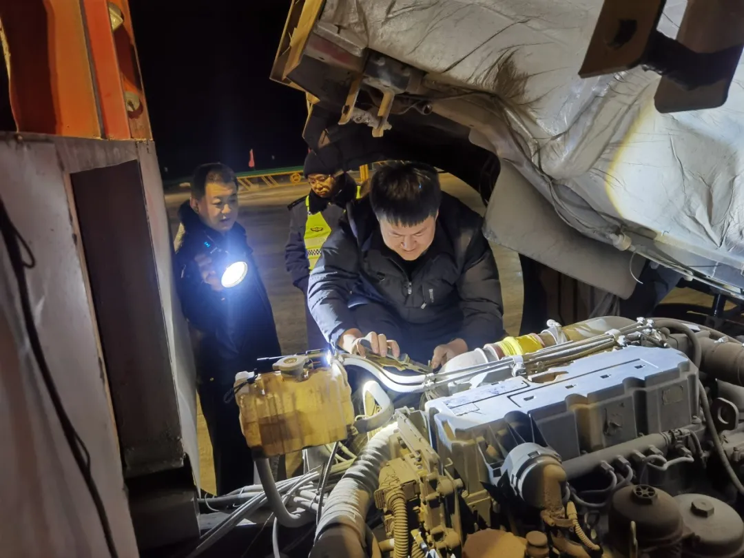 女人与公狍交酡女免费