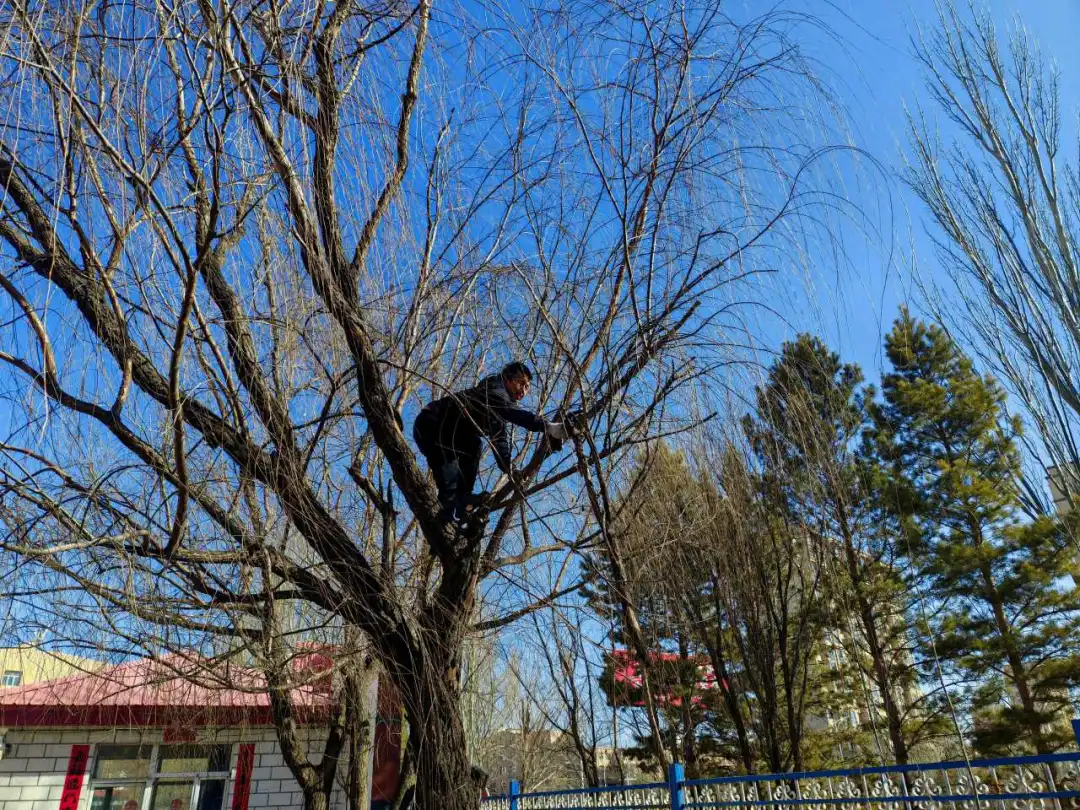 女人与公狍交酡女免费
