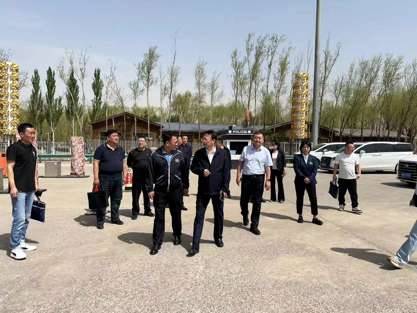 女人与公狍交酡女免费