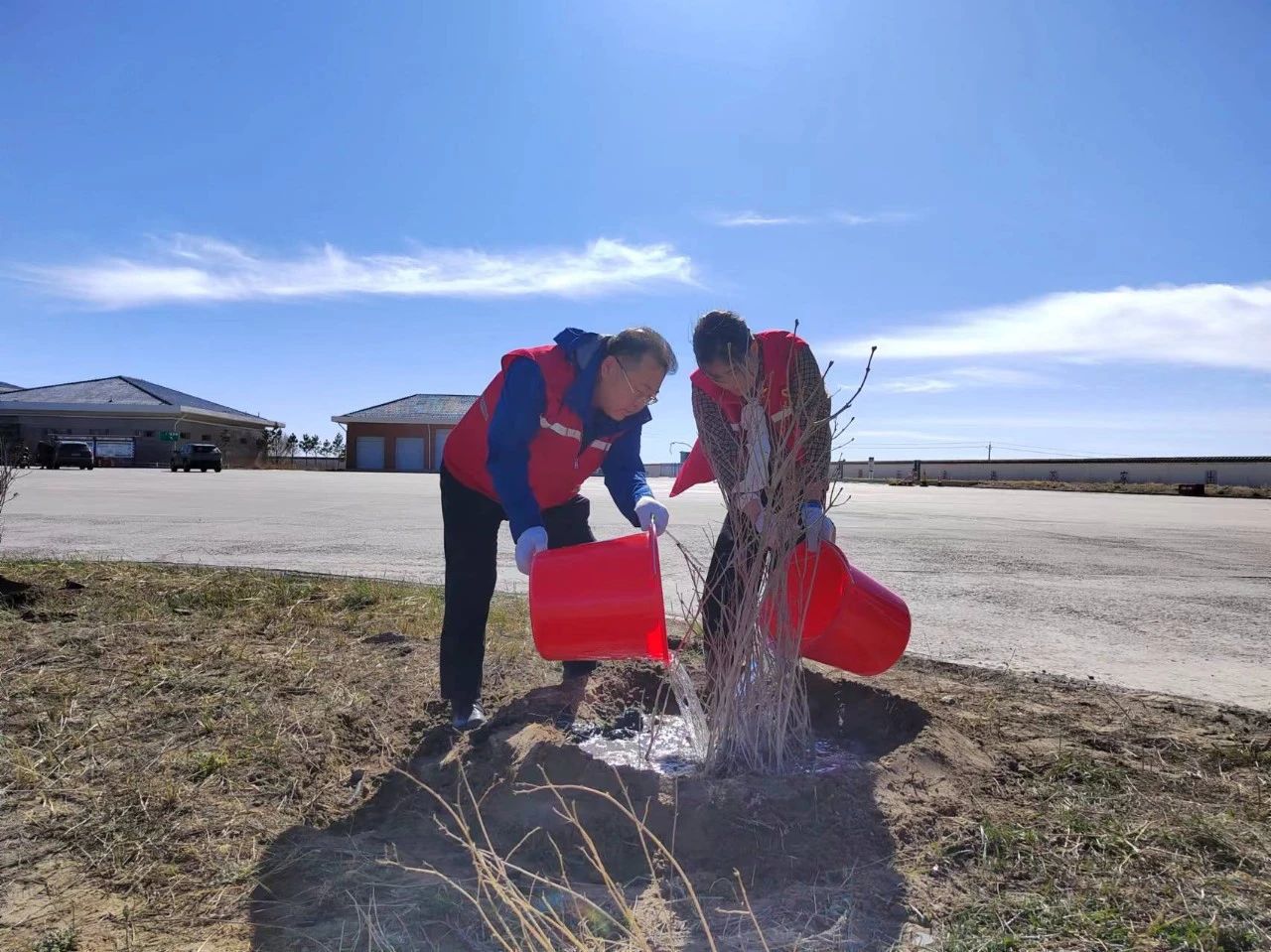 女人与公狍交酡女免费
