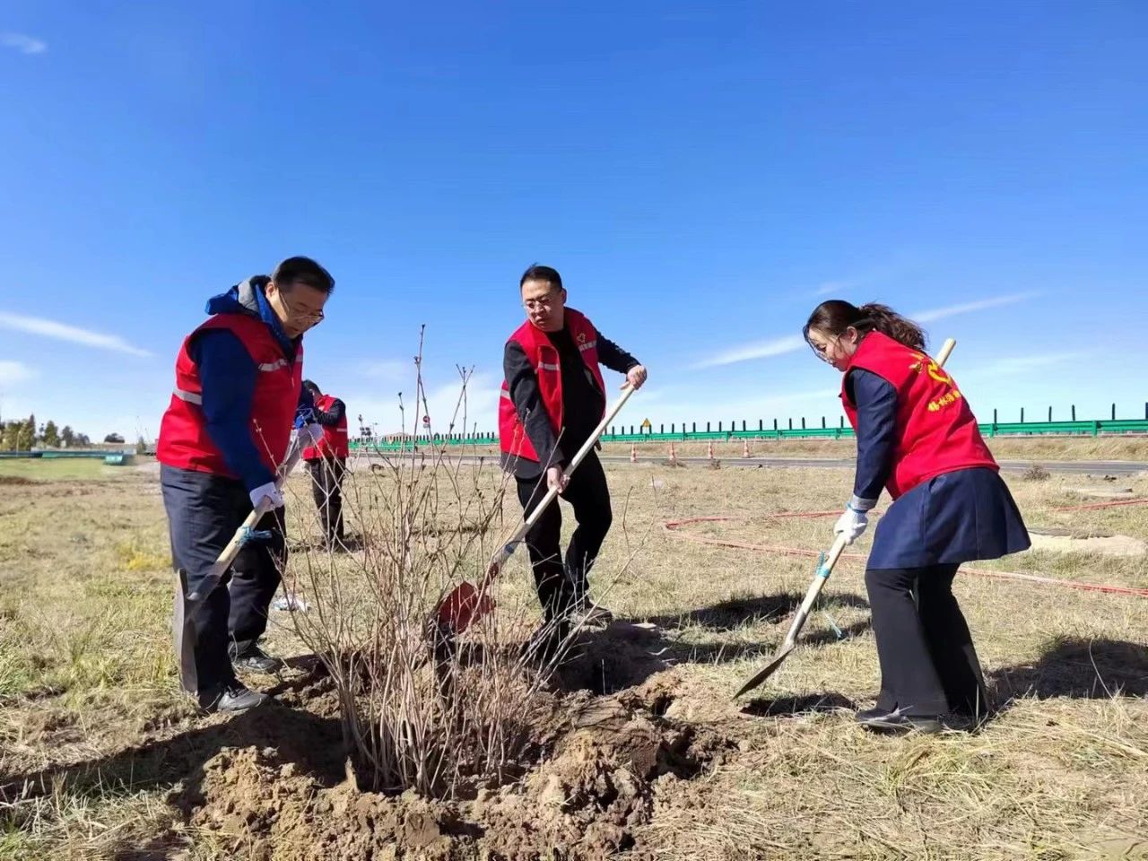 女人与公狍交酡女免费