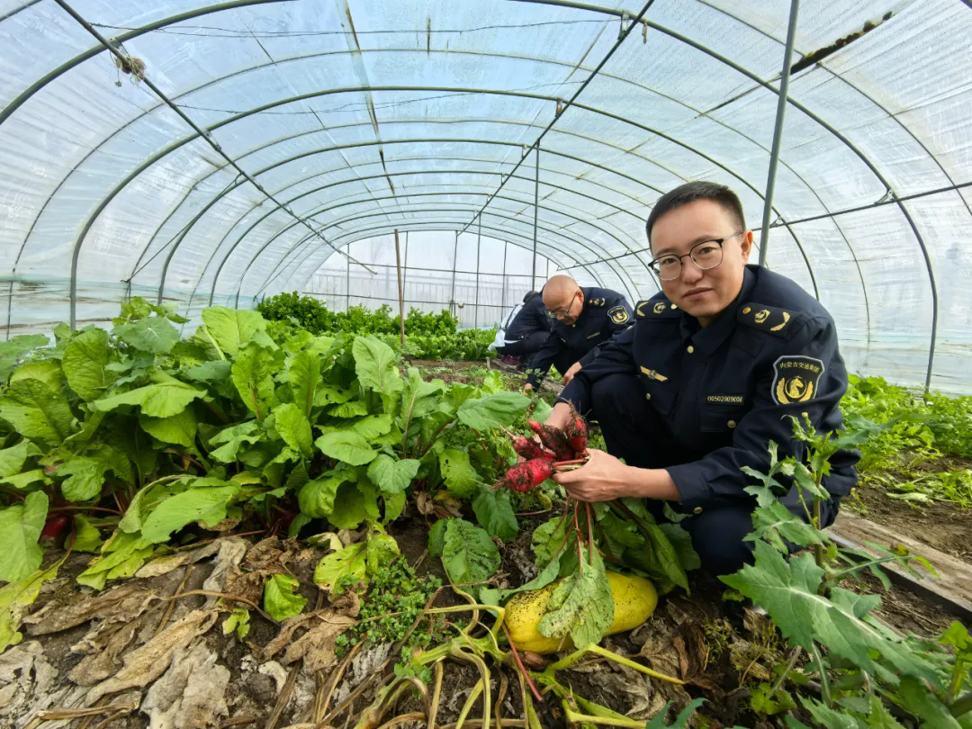 女人与公狍交酡女免费