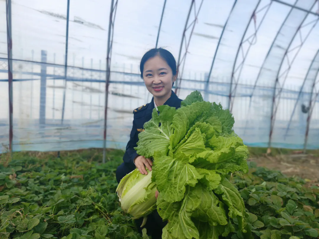 女人与公狍交酡女免费