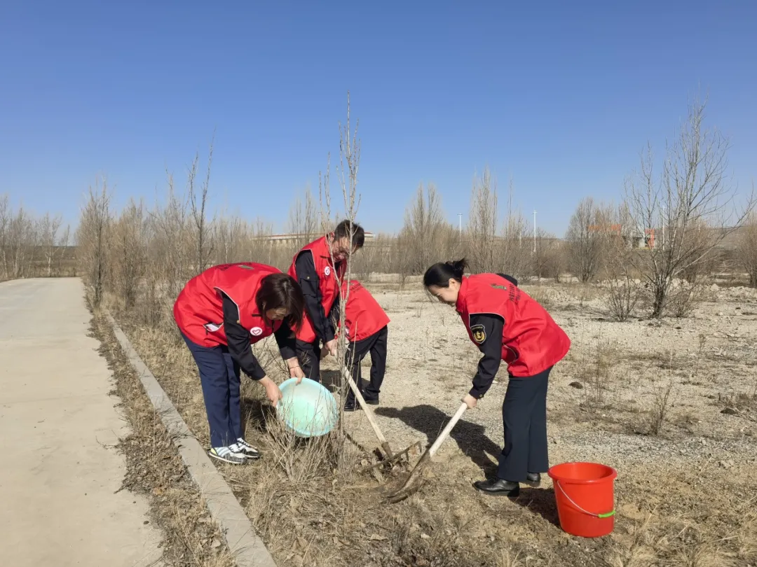 女人与公狍交酡女免费