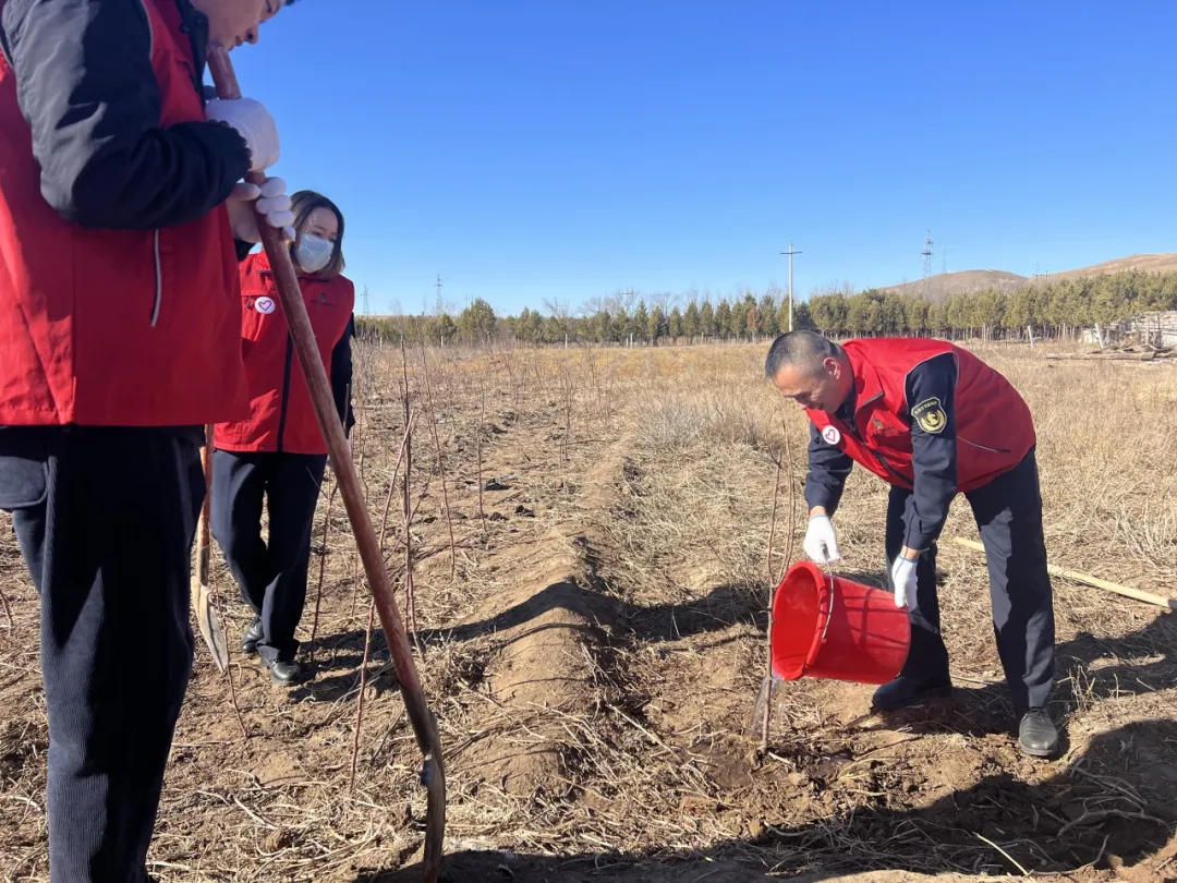 女人与公狍交酡女免费