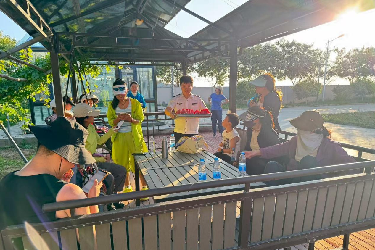 女人与公狍交酡女免费