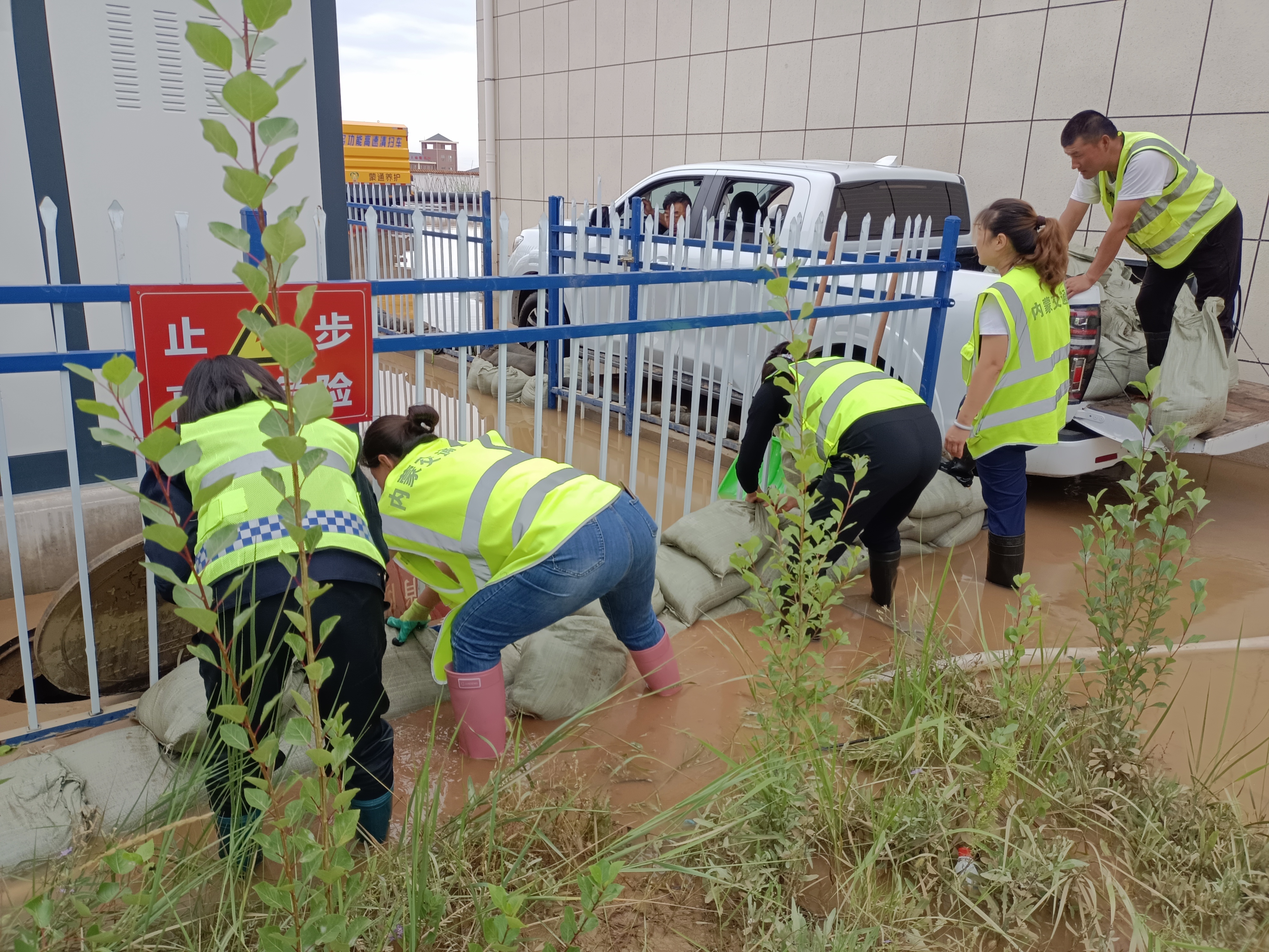 女人与公狍交酡女免费