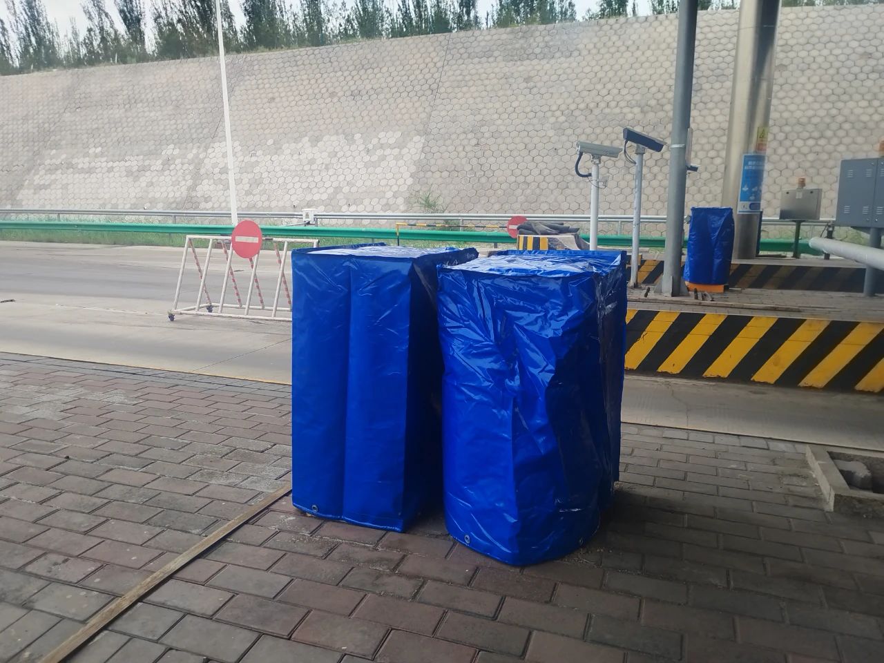 女人与公狍交酡女免费