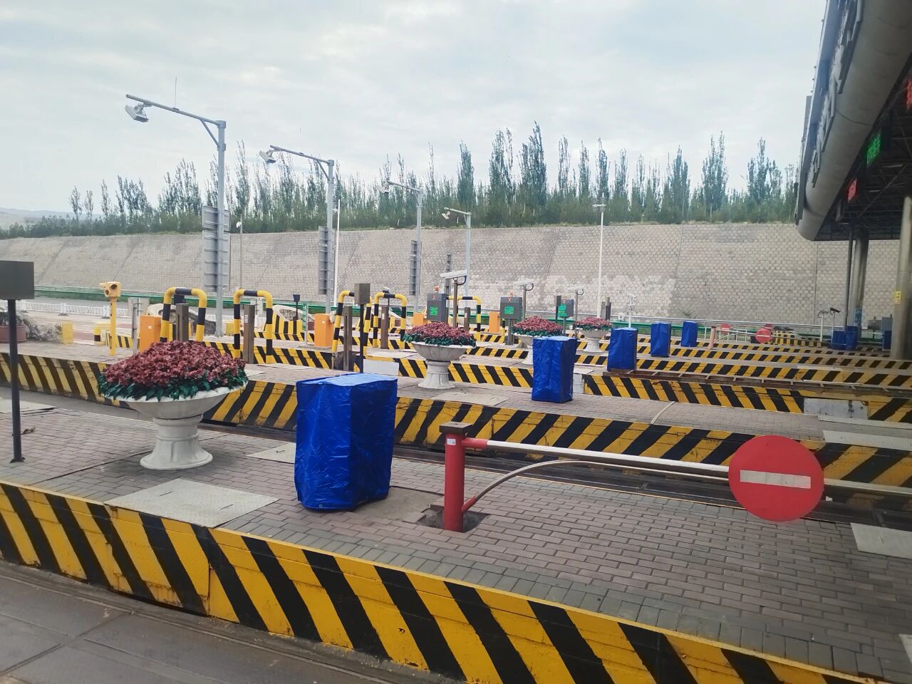 女人与公狍交酡女免费