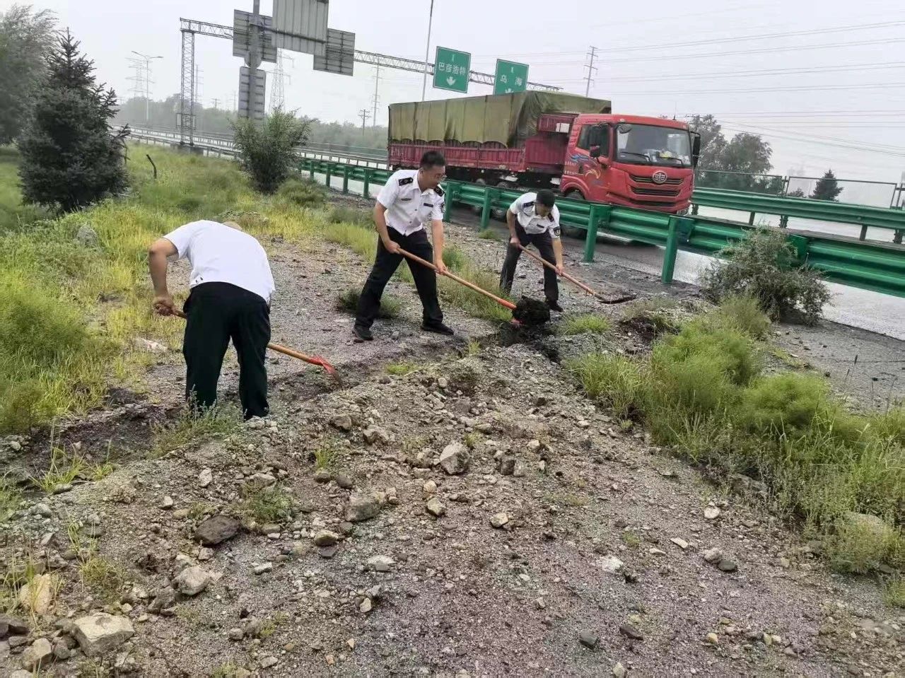 女人与公狍交酡女免费