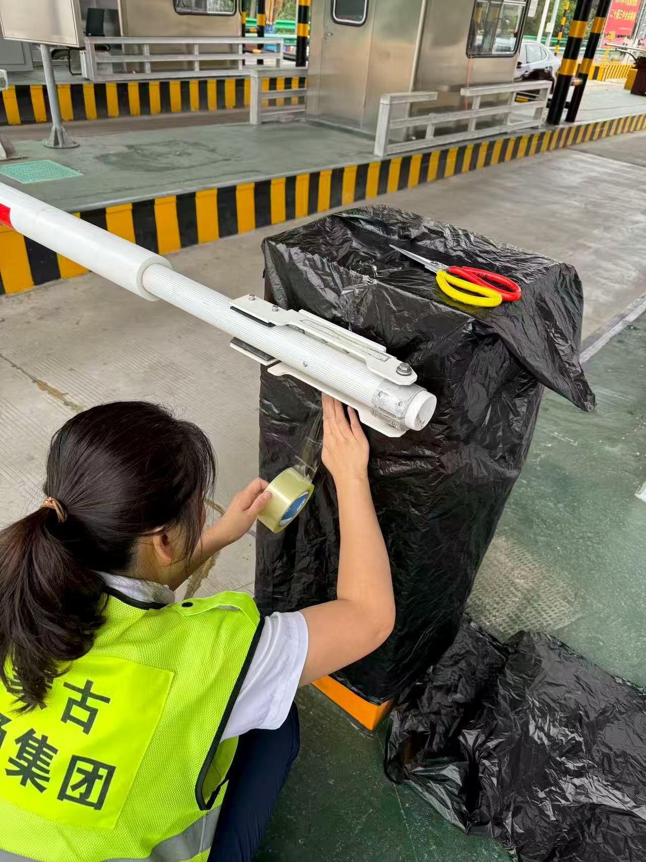 女人与公狍交酡女免费