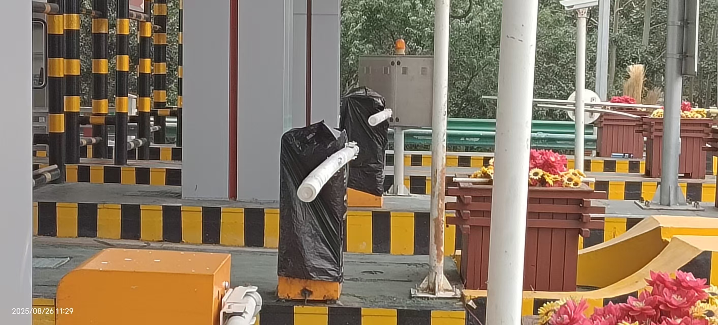 女人与公狍交酡女免费