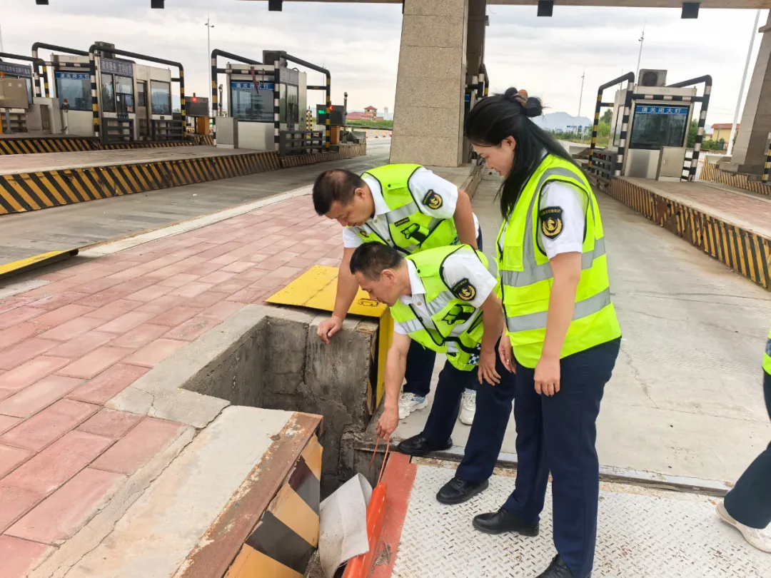 女人与公狍交酡女免费