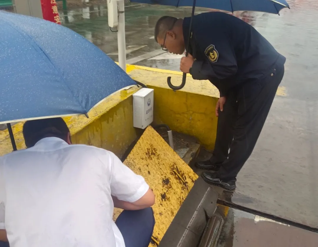 女人与公狍交酡女免费