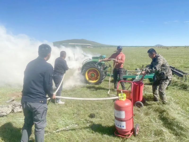 女人与公狍交酡女免费