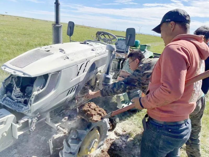 女人与公狍交酡女免费