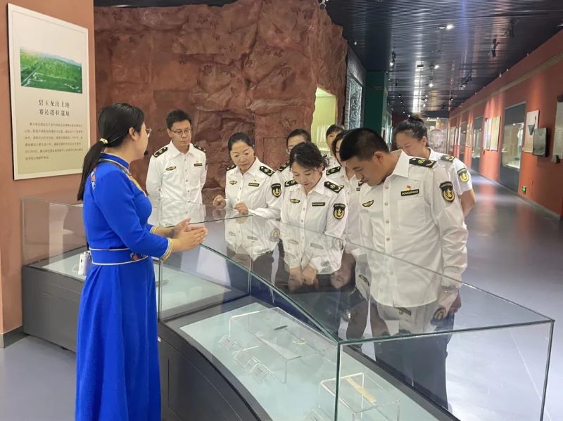 女人与公狍交酡女免费