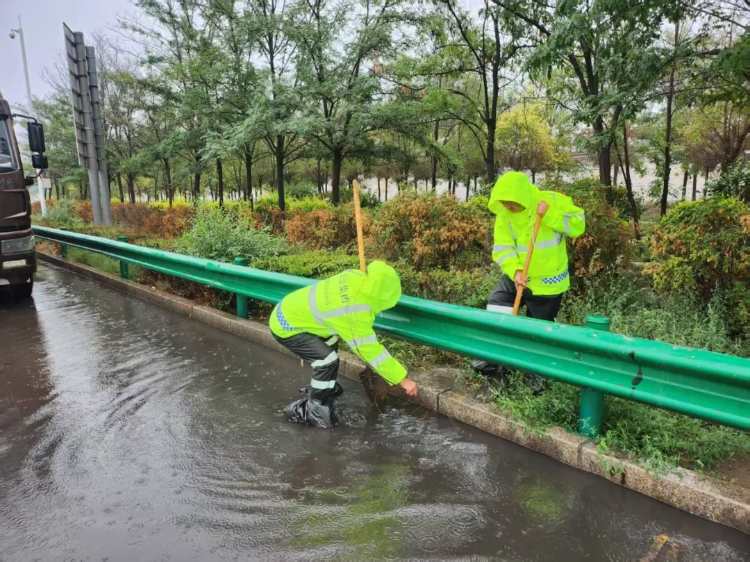 女人与公狍交酡女免费