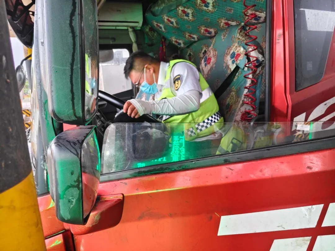 女人与公狍交酡女免费