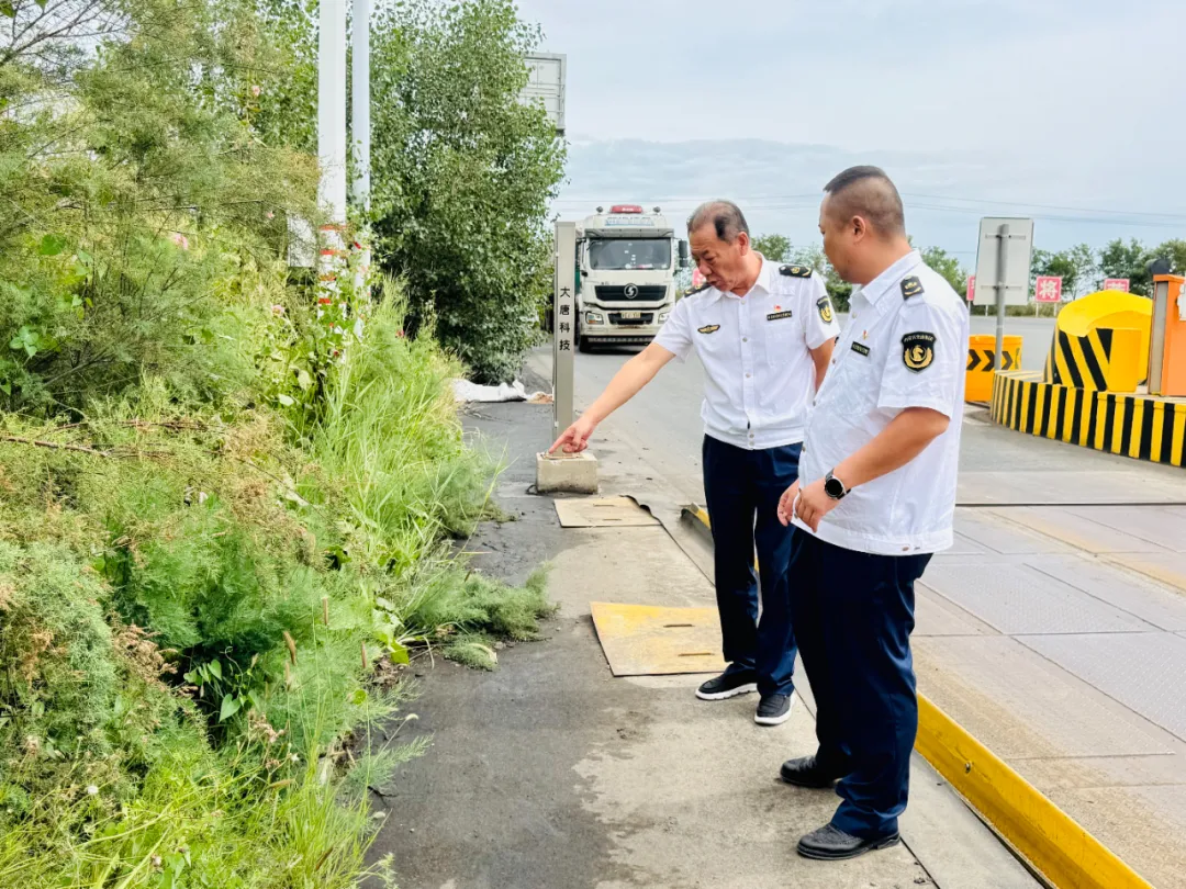 女人与公狍交酡女免费