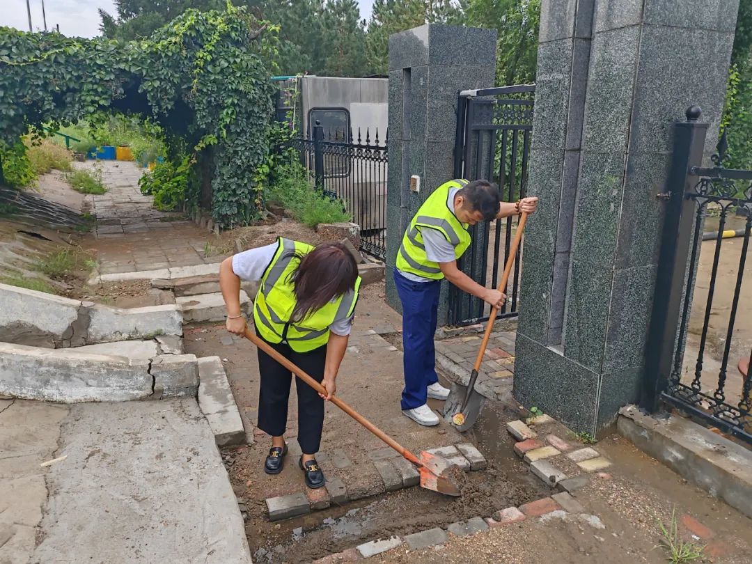 女人与公狍交酡女免费