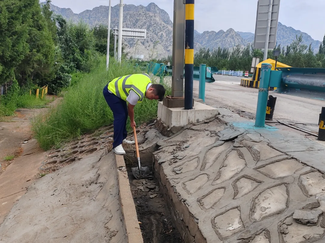 女人与公狍交酡女免费