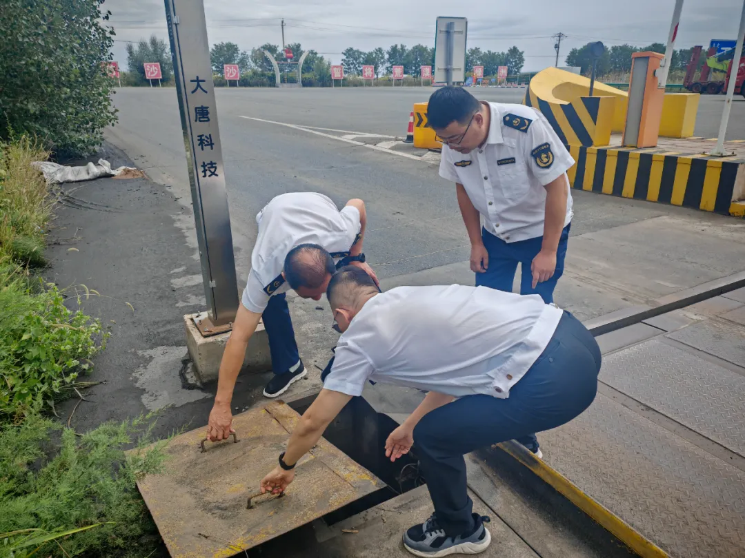 女人与公狍交酡女免费